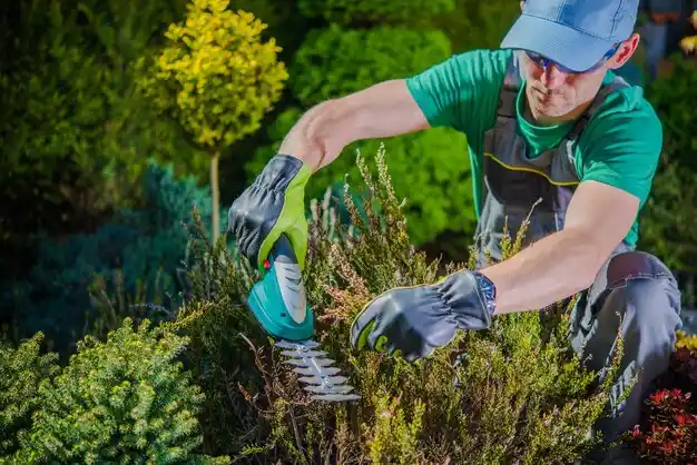 landscaping services Hurstbourne Acres